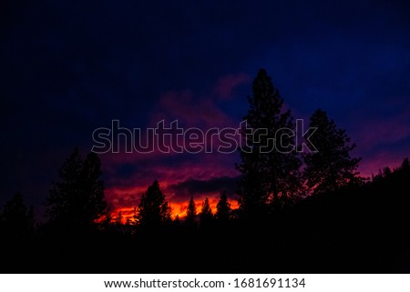 Dark Red and Purple Stripes in the Sky with Tree Silhouettes during Wild Fires in California Forest at Night