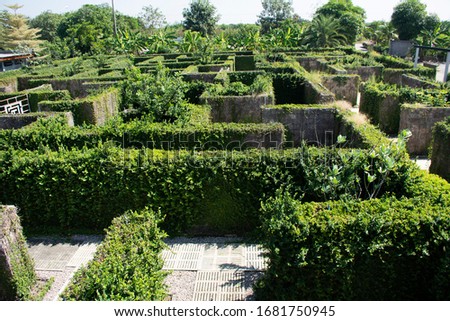 Maze plant garden for thai people and foreigner travelers travel visit and playing game at outdoor at cafe and restaurant in Ratchaburi, Thailand