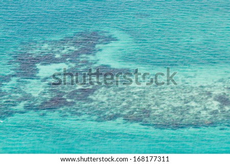 aerial view of the barrier reef of the coast of San Pedro, Belize. with grassy dark spots on the turquoise waters