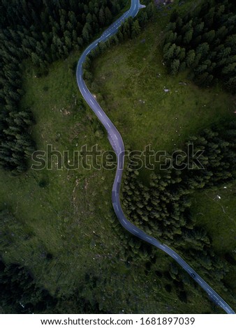 Road thru forest, drone photo