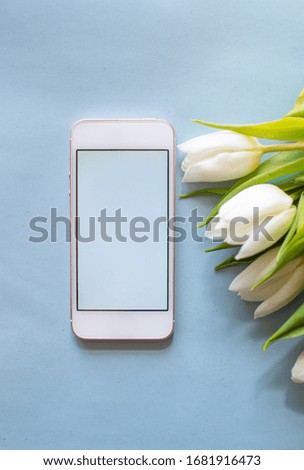 White blank smartphone on pastel blue background with flower tulips. Minimalistism background. Mock up screen smartphone. Summer or travel concept. Copy space