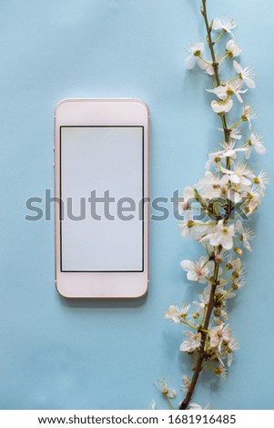 White blank smartphone on pastel blue background with flower. Minimalistism background. Mock up screen smartphone. Summer or travel concept. Copy space