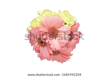 bouquet of transvaal daisy and carnation in a white background