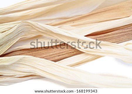 Close-up of Indian corn leaves
