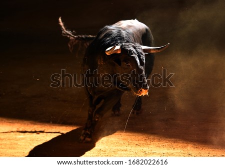 A bull on spain with big horns Royalty-Free Stock Photo #1682022616