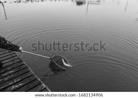 Pіke fishing on the lake