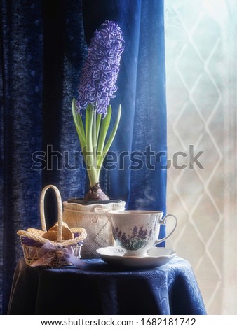 Still life with hyacinth and tea cup