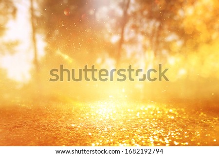 concept background photo of light burst among trees and glitter golden bokeh sparkles