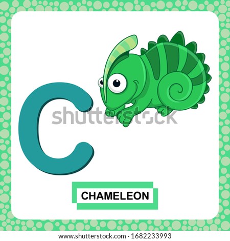 Letter C uppercase with cute cartoon Green Chameleon isolated on white background. Funny colorful flashcard Zoo and animals ABC alphabet. Education card for kids learning English vocabulary. VectorEPS
