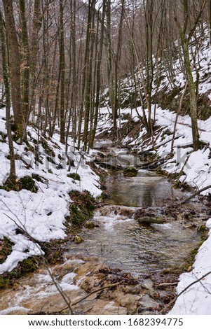 winter landscape at Susara river,  Sasca Montana, Romania
