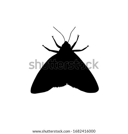 Vector black moth silhouette isolated on white background