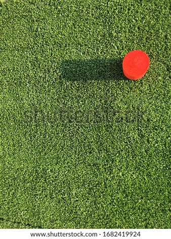 outdoor activity conceptual photo that involves green grass and red cube