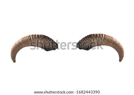 goat horns isolated on a white background Royalty-Free Stock Photo #1682443390