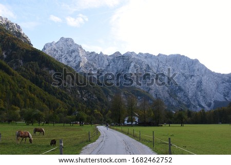 An endless road at Logarska Dolina
