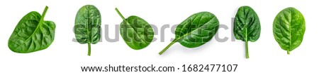 Spinach leaf isolated on white background. Fresh green baby spinach Top view. Flat lay. Royalty-Free Stock Photo #1682477107