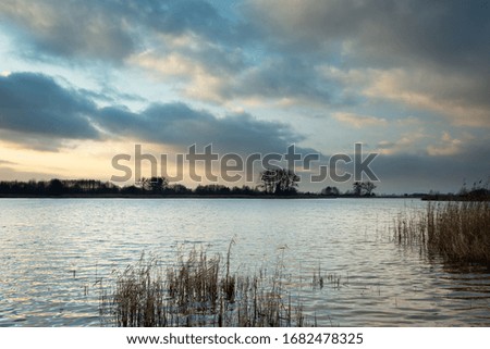 Evening clouds over the lake with reeds, trees on the horizon, view after sunset