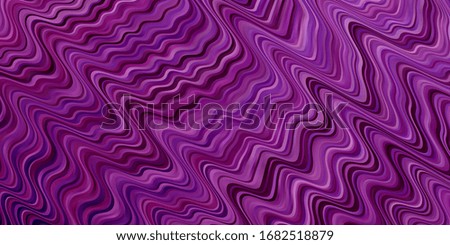 Light Purple, Pink vector background with bent lines. Colorful illustration with curved lines. Smart design for your promotions.
