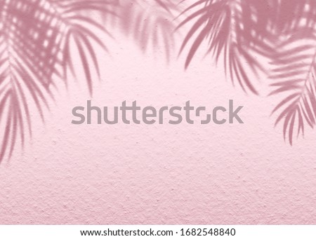 Pink soft cement texture wall leaf plant shadow background. Summer tropical travel beach with minimal concept. Flat lay pastel color palm nature.