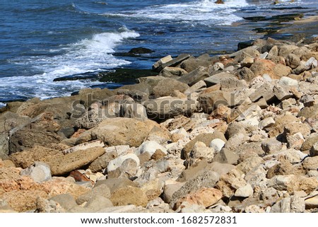 stones lie in a city park on the shores of the Mediterranean Sea