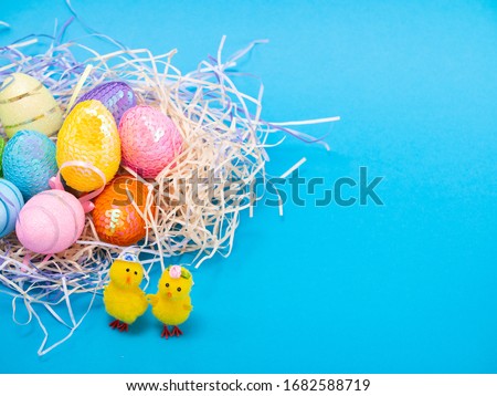 Easter Chicks and Eggs in Nest.concept of the Easter holiday and greeting cards. decorative chickens with Easter eggs