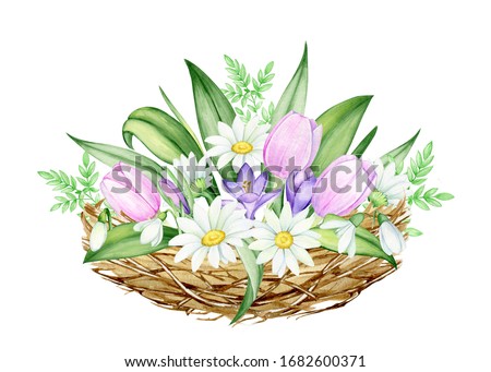 A bouquet of flowers, from daisies, tulips, snowdrops, crocuses in the nest. Watercolor, spring clip art, on an isolated background, for the Easter holiday.