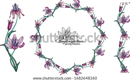 set of pink flowers. Wreath. Bouquet. Spring flowers