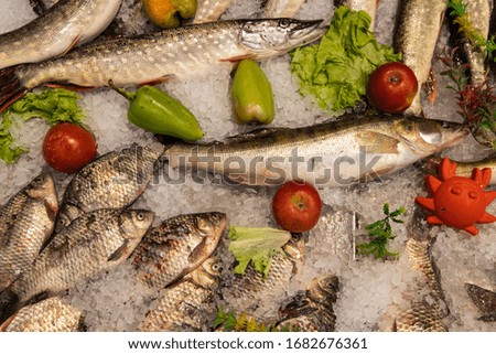 sea product frozen fish food shop counter showcase background 