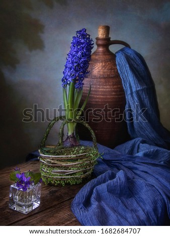 Still life with blooming hyacinth in retro style