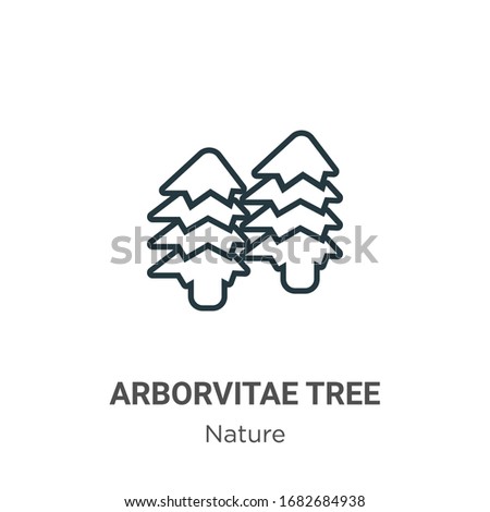 Arborvitae tree outline vector icon. Thin line black arborvitae tree icon, flat vector simple element illustration from editable nature concept isolated stroke on white background