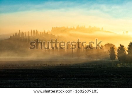 a light fog wrapping the two cypress trees lines that lead to the castle of Leonina, in the crete senesi nearby Asciano Royalty-Free Stock Photo #1682699185