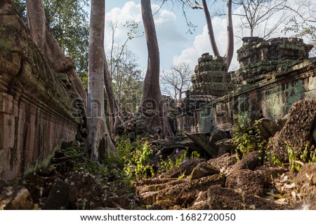 The ruins of the ancient temple of Angkor Wat, Cambodia. Ruined walls. Ancient city overgrown with trees.