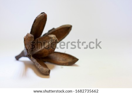 a brown wood flower on isolated white background