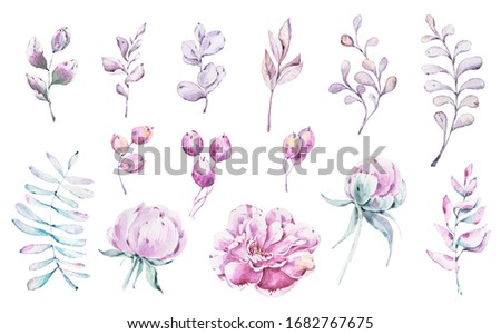 Watercolor floral set. Perfect for greeting cards, wedding invitation, wedding design, blogs, patterns, stickers, birthday and mothers day cards. Botanical illustration isolated on white background.