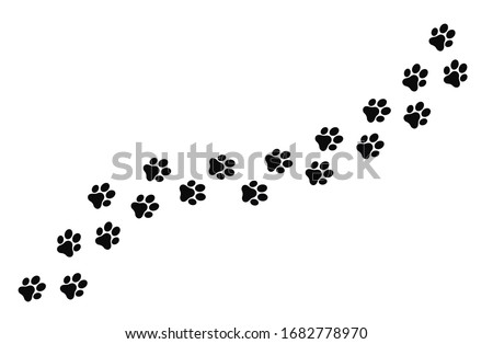 Paw prints of dogs, vector illustration