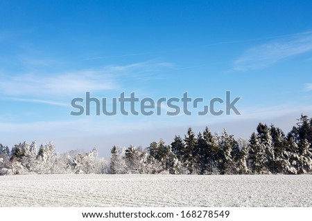 sunny  winter scenery with frozen landscape in winter and blue sky
