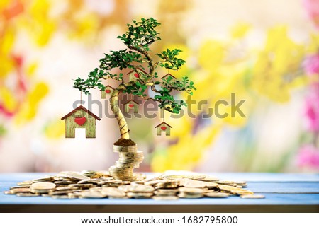 Stacked gold coin with growing to a tree produce house put on the wood in sunlight, Saving money or loan for business investment real estate of owner in the future and buying a new home concept.