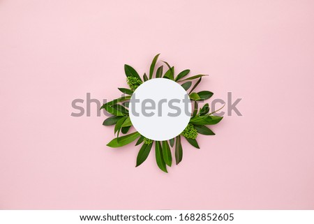 White round frame decorated with green leaves and orchid flowers on pink pastel background. empty space for text. mock up with copy space. Tropical nature. Flat lay