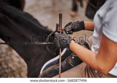rider holding the reins of a horse