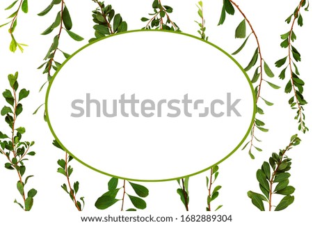 Branches with fresh green leaves with white oval card for background