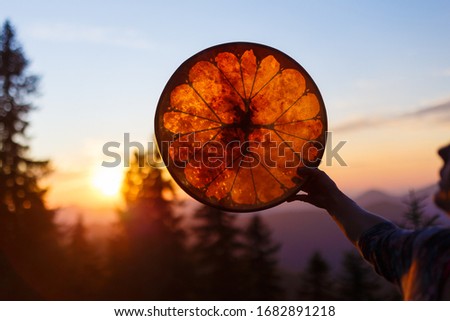 shaman frame drum in woman hand in the nature. Royalty-Free Stock Photo #1682891218