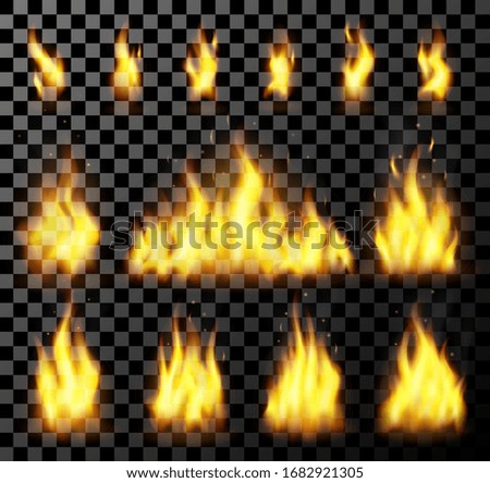 Red realistic fire set on a transparent background. for danger concept or web design. Flame set and red fire set.