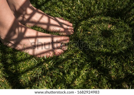 Feet on the green grass