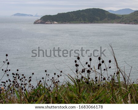 photos of Praia do Rosa taken in Santa Catarina, Brazil with hills with forest and sea