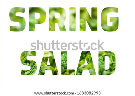 word Spring Salad with Vegetarian vitamin salad inside letters, on white background