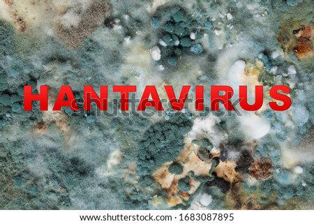 Abstract image of hantavirus with the inscription. Dangerous virus transmitted to humans from rodents. Royalty-Free Stock Photo #1683087895