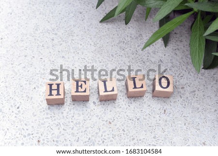 "Hello" Alphabets letter word with terrazzo and leaves background 