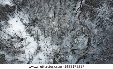 Aerial shot above forest in winter time