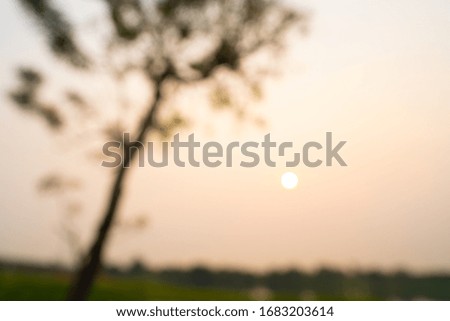 blurred nature in the morning sunrise