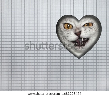 The gray cat is looking out through a heart shaped hole in checkered piece of paper.