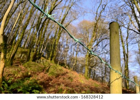 Barbed wire fence with North English woods on top of hill in background in Ambleside, England.